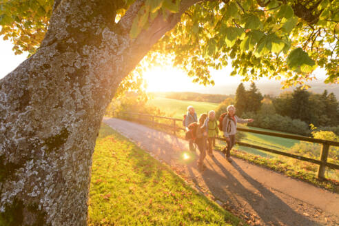 Wanderweg zum Hohen Peißenberg