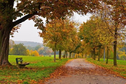 Herbst auf dem Weg zum Gut Dietlhofen in Weilheim