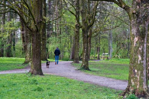 Blick in die Au Weilheim