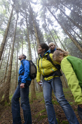 Wald- und Weiherschleife