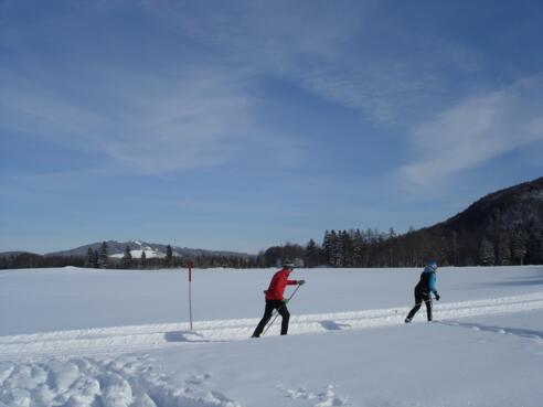 Haslachrunde
