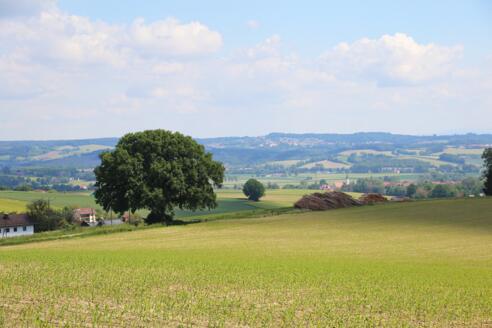 Ausblick auf der Tour