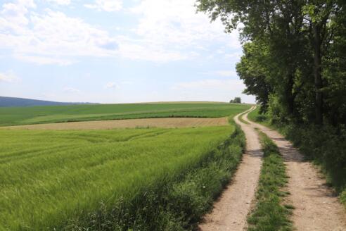 Wanderung in der Landschaft um Kößlarn