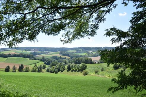 Landschaft Ering Tour 13