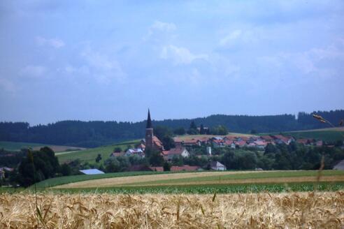 Blick auf Hirschhorn