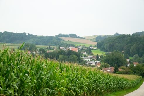 Landschaft mit Blick auf die Kirche in Münchham