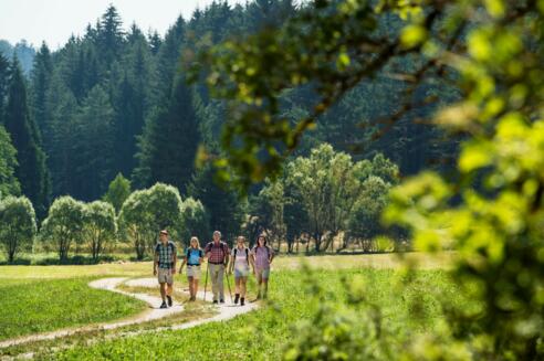 „Albtrauf“ Richtung Höhenberg