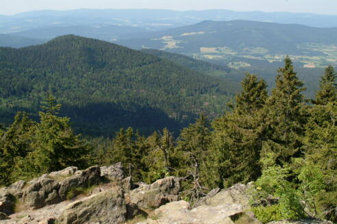 Wanderung von Eck zum Großen Arber