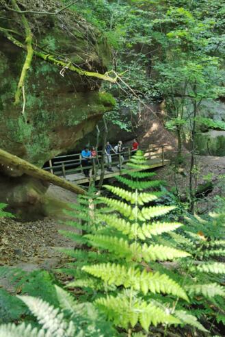 Wanderer besichtigen das grüne Schnittlinger Loch.