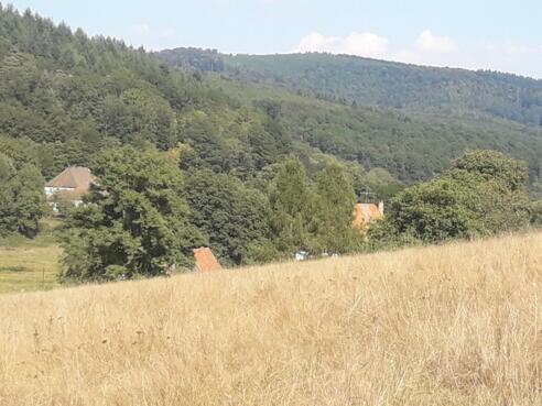 Blick auf Lichtenau