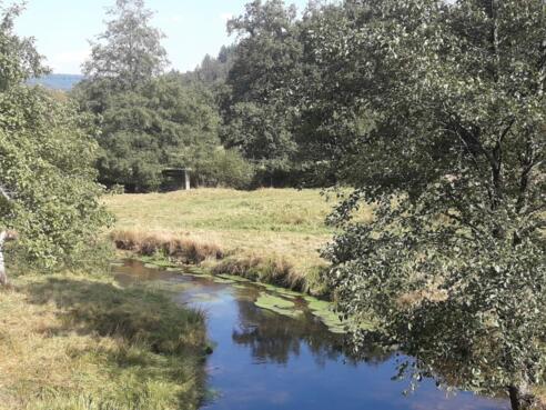 Blick ins Hafenlohrtal