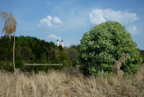Weiher bei Roggenburg