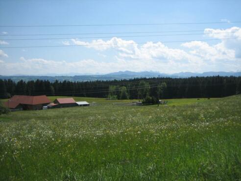 Schöne Wiesen und Panoramablick bei Hellengerst