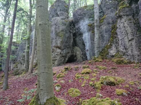 Blick auf die Saalburg-Grotte