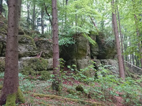 Vogelschutzgebiet Saalburg