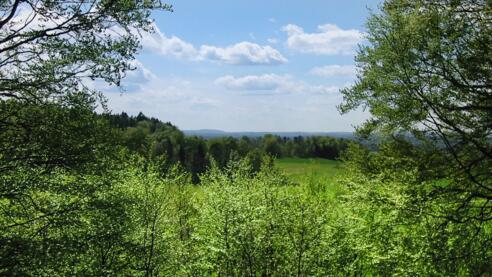 Aussicht vom Belvedere
