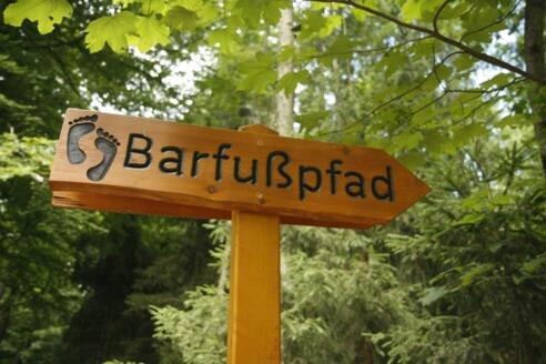 Naturlehrpfad am Rehberg