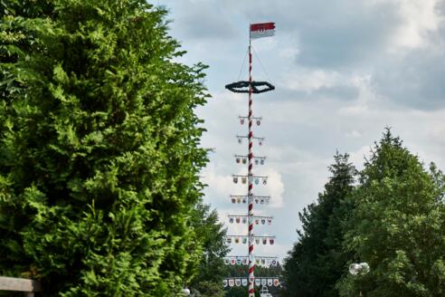 Pilgerbaum in Marienweiher