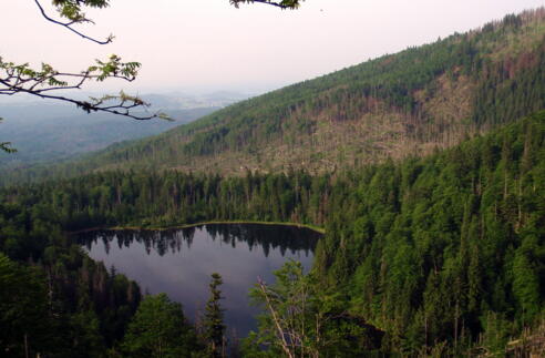 Rachelsee ~1071m von der Kapelle gesehen