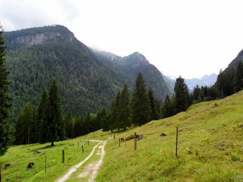Alm am Schattseitweg