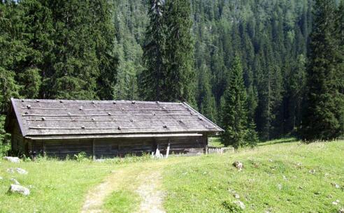 Die Grubenalm am Watzmann