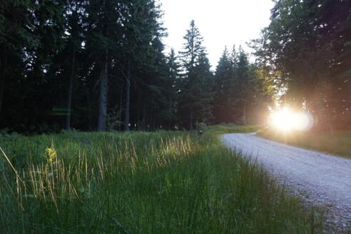 Laufstrecke Schöneben