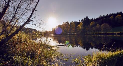 Flusswanderweg Regen/Zwiesel