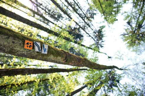 Flusswanderweg Bayerisch Eisenstein