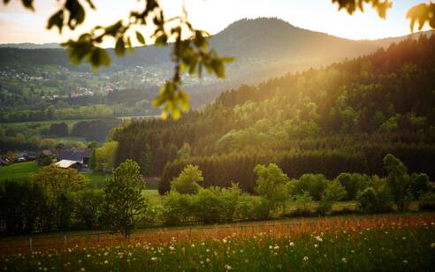 Hennenkobel Langdorf