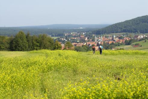 Wandern zwischen Rapsfeldern.