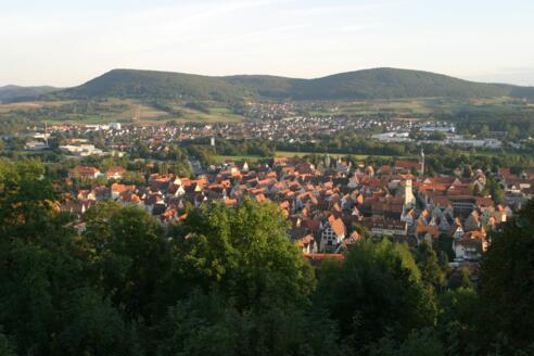 Blick über Hersbruck und die Hersbrucker Schweiz