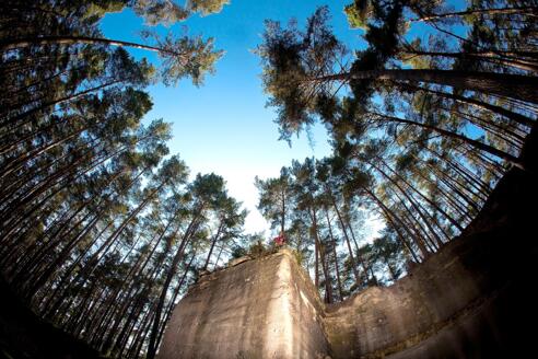 Wünderschöne Aussichten: Die Wernsbacher Steinbrüche, hohe Bäume und strahlend blauer Himmel.