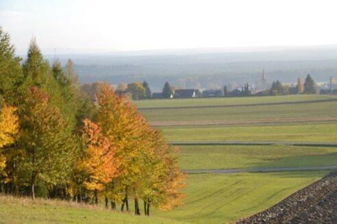 Blick auf Leinburg