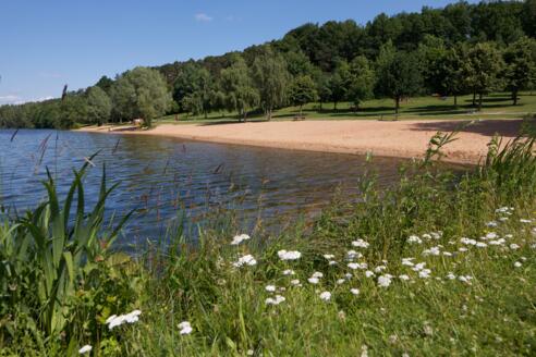 Ruhe findet man in der Blumenwiese am Igelsbachsee.