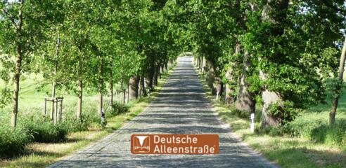 Deutsche Alleenstraße