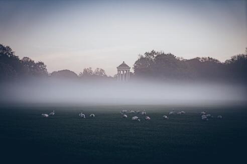 Monopteros im Nebel