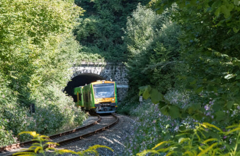 WBA1 Strecke Grafling-Arzting - Gotteszell