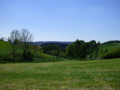 Ausblick bei Halmstein