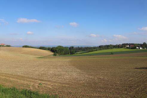 Aussichtspunkt bei Halmstein