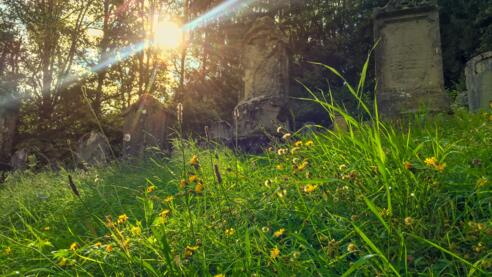 Jüdischer Friedhof Ermreuth