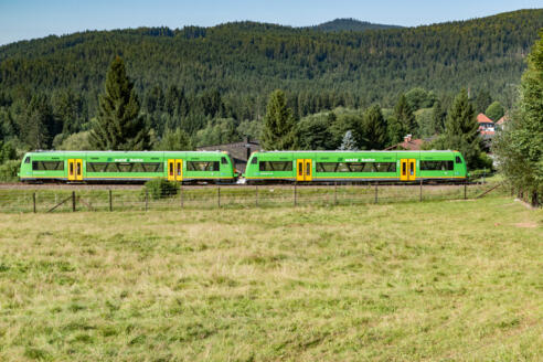 WBA1 Strecke Ludwigsthal - Zwiesel