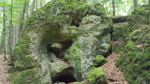 Höhle Nr. 24 am Norissteig