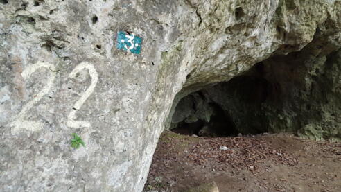 Höhle Nr. 22