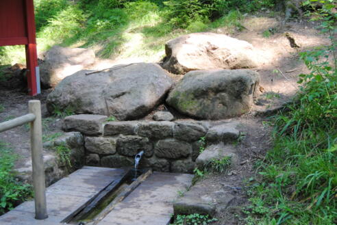 Marienquelle am Heidenberg