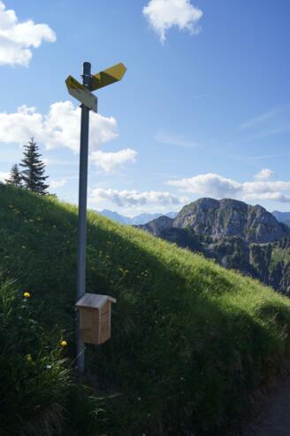 Stanzstation Königsrunde