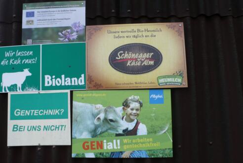 Heimat von glücklichen Kühen