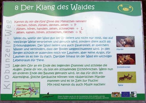 Klang des Waldes