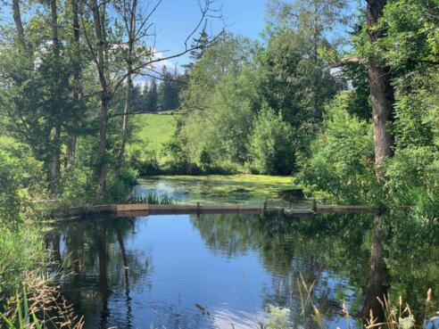 אגם הנוי הצמוד לחניון בתחילת המסלול
