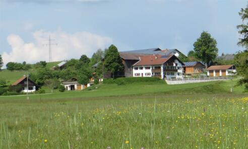 Unser Hof im Sommer
