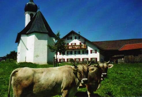 Hummelhof